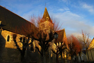 Résultat de recherche: Eglise d'Athée-sur-Cher (2)