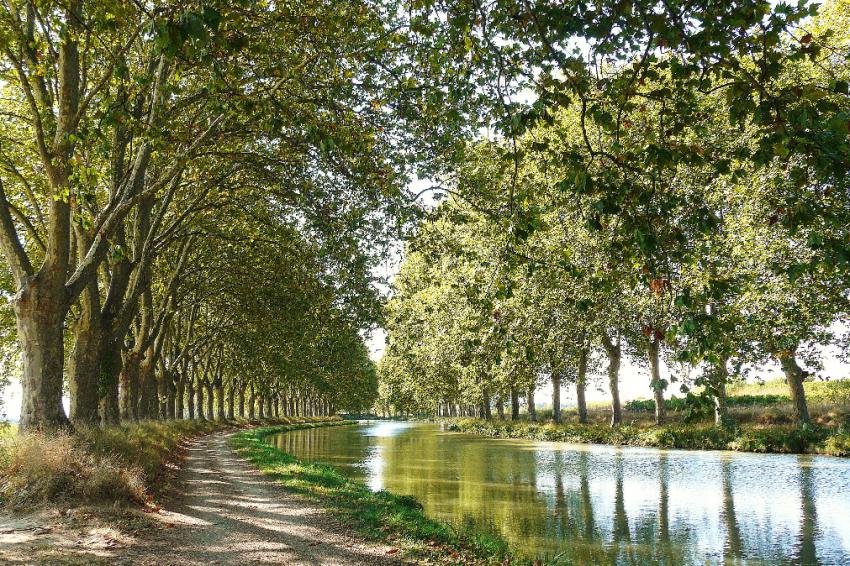 Le Canal du Midi à St-Nazaire d'Aude