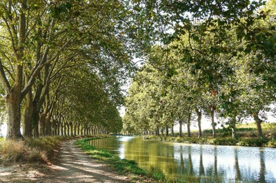 Le Canal du Midi à St-Nazaire d'Aude