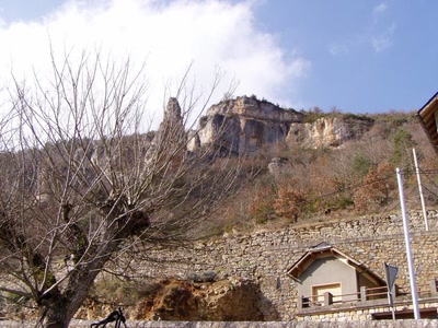 Résultat de recherche: les vignes