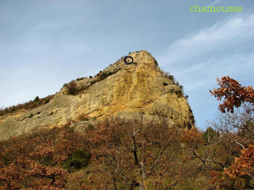 Chamois à Chamousse 