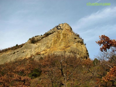 Chamois à Chamousse 