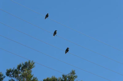 Œuvre de Ondine: Trois petites  notes de musique....