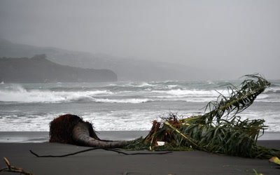 Résultat de recherche: L'aprés Oli