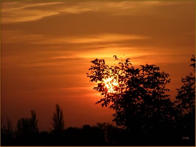 Résultat de recherche: Coucher de soleil 22008