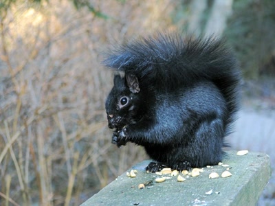 Aperçu de la galerie de Alle