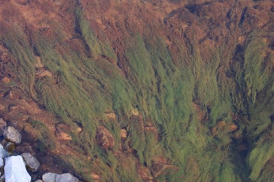 Résultat de recherche: Petite rivière