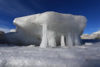 Résultat de recherche: Sculture naturel