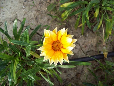 Œuvre de marin: en janvier