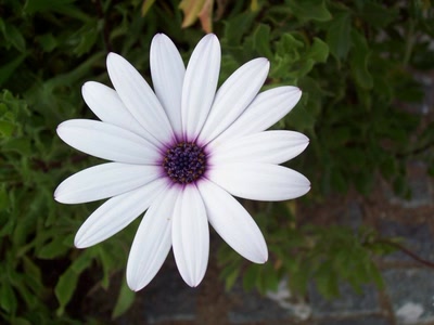 Œuvre de marin: a Side