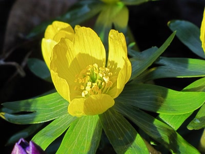 Œuvre de Alle: Un peu de soleil