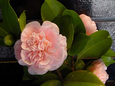 Œuvre de Alle: Pour la St.Valentin 