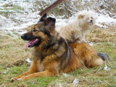 Résultat de recherche: Tu regardes à gauche et moi à droite.