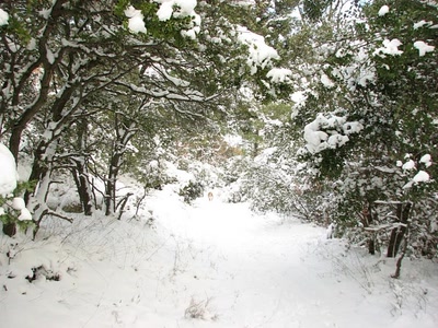 Il n'y a pas si longtemps ......