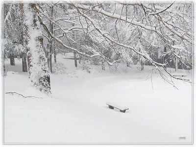 Résultat de recherche: Neige 13210b