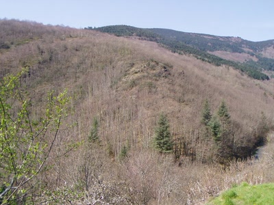 Résultat de recherche: lespinassiere