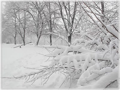 Résultat de recherche: Neige 13210 4b