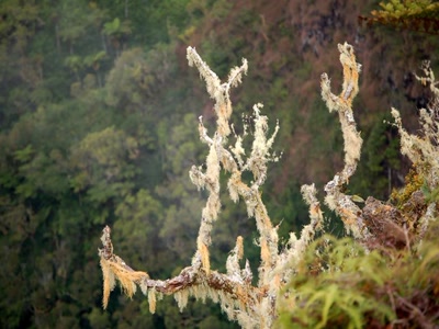 Résultat de recherche: au bord du ravin