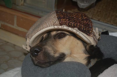 Oh que je suis malheureux...