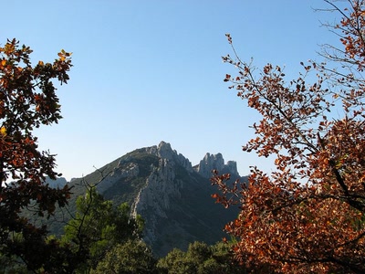 Résultat de recherche: les dentelles de Montmirail