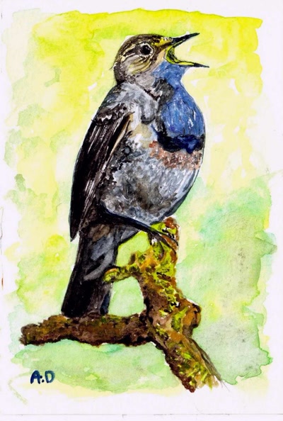 Œuvre de insousiant: gorge bleu aquarelle 10*15