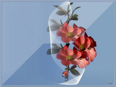 Œuvre de Zvrki: Branche 3