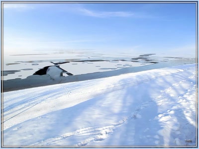 Résultat de recherche: Neige 29110 2