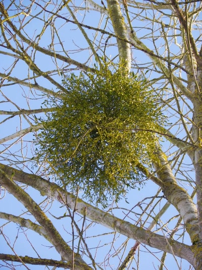 Résultat de recherche: Gui,il fait trop froid pour bronzer!!!
