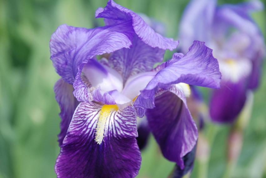 Instant de fragilité