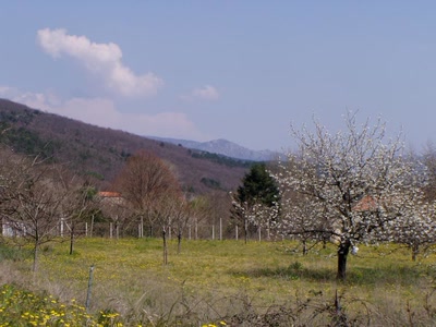 Résultat de recherche: rols