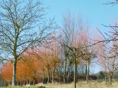 Résultat de recherche: Palette de couleurs