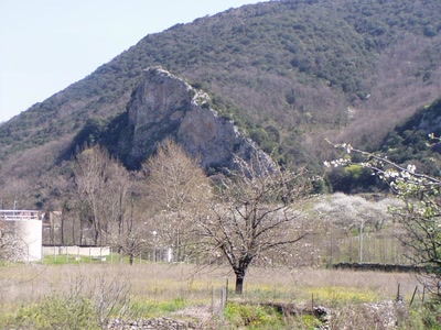 Résultat de recherche: riols