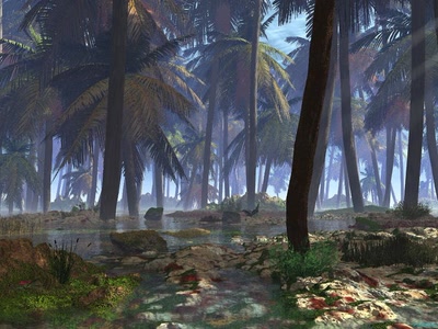 Résultat de recherche: Arbre et Forêt 