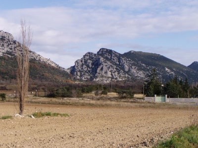 Résultat de recherche: ver millau