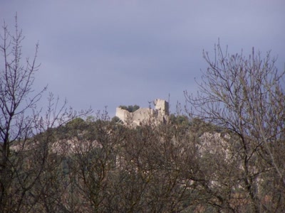 Résultat de recherche: nature