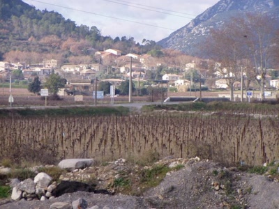 Résultat de recherche: ver le vigan