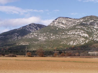 Résultat de recherche: ver millau