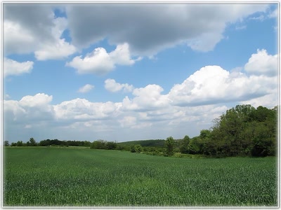 Résultat de recherche: Nature 20509
