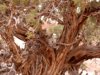 Résultat de recherche: Plus tout jeune