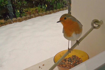 Œuvre de Ondine: Même pas peur !