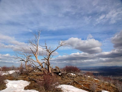 Résultat de recherche: infini