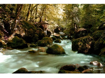 Œuvre de guyjass: torrent