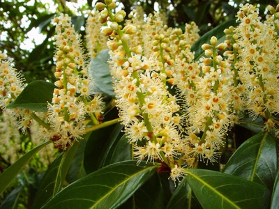 Résultat de recherche: Fond d'écran Nature 