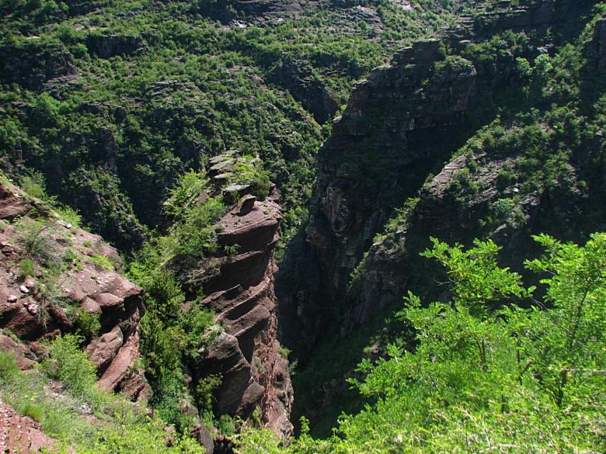 Gorges de Daluis ( Alpes Maritimes )