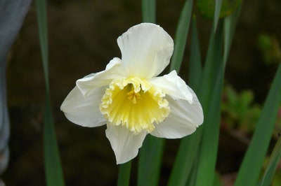 Résultat de recherche: Simplicité