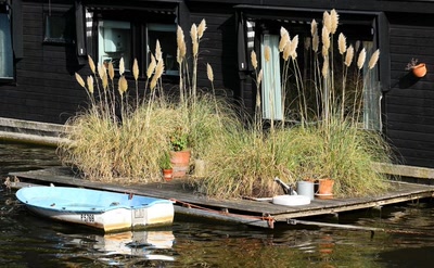 Résultat de recherche: Amsterdam (123) Coin de verdure