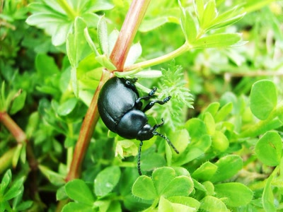 Œuvre de refletsdargent: bien accroché