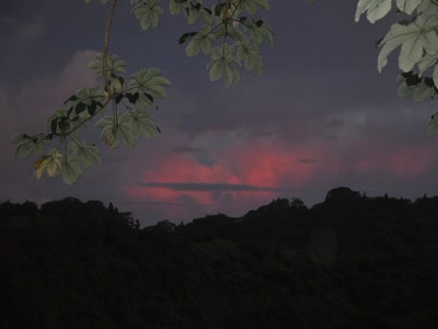 Résultat de recherche: dernier filet de soleil