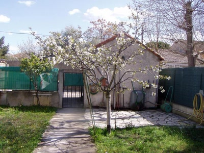 Résultat de recherche: mon cerisier