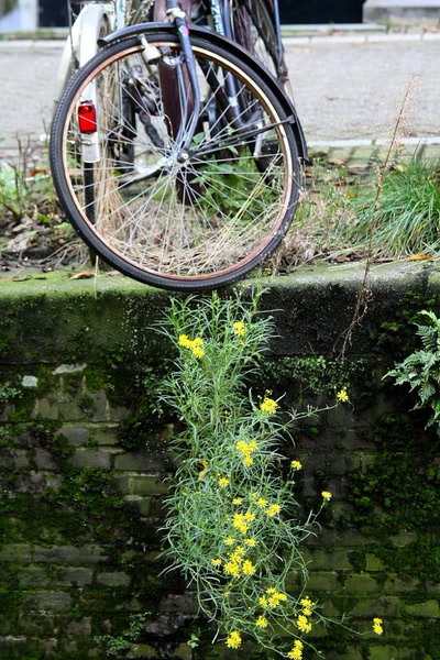 Résultat de recherche: Amsterdam (147) Les vélos : Beau parking